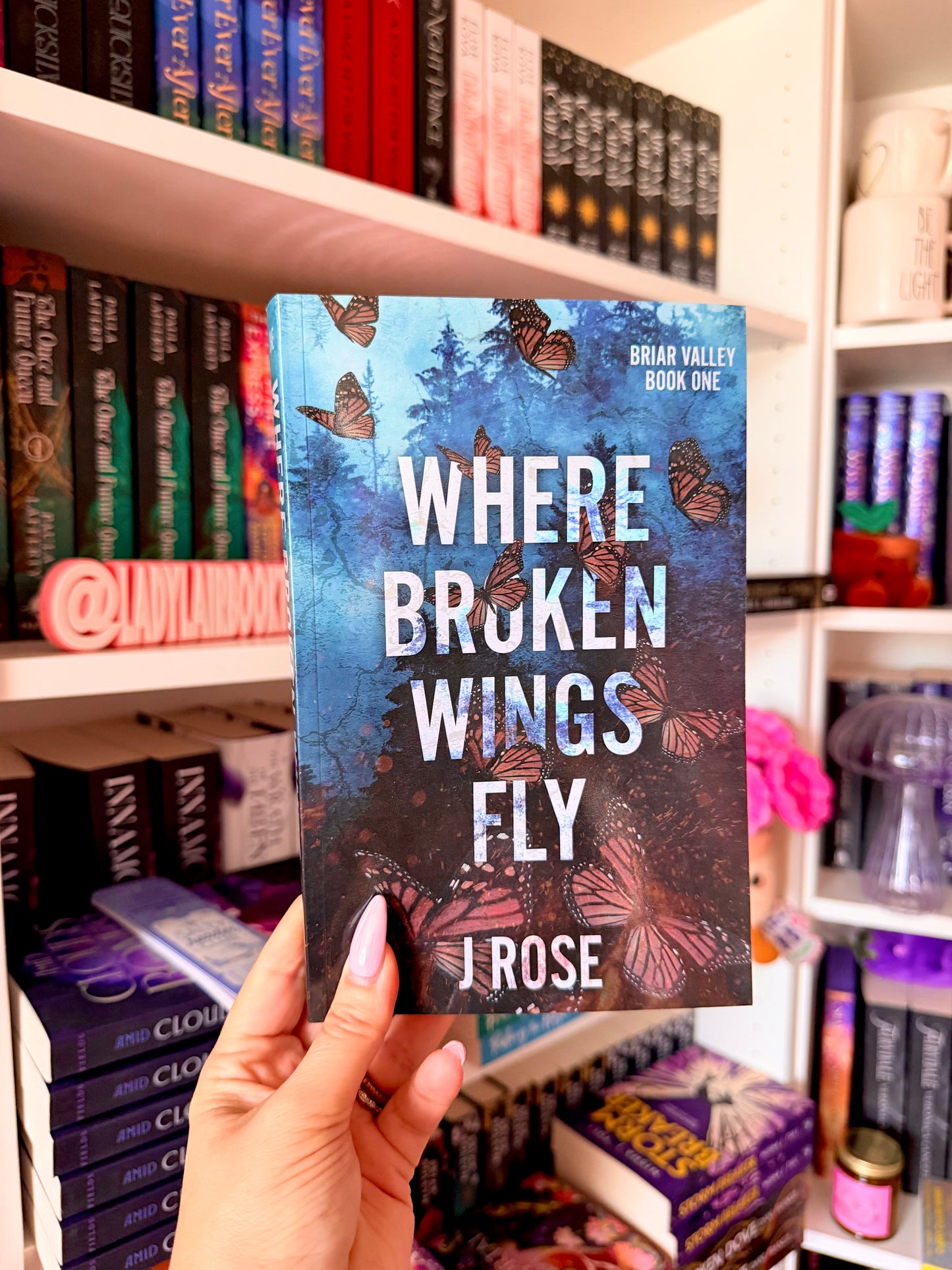 Where Broken Wings Fly: A Small Town Reverse Harem Romance (Briar Valley)
