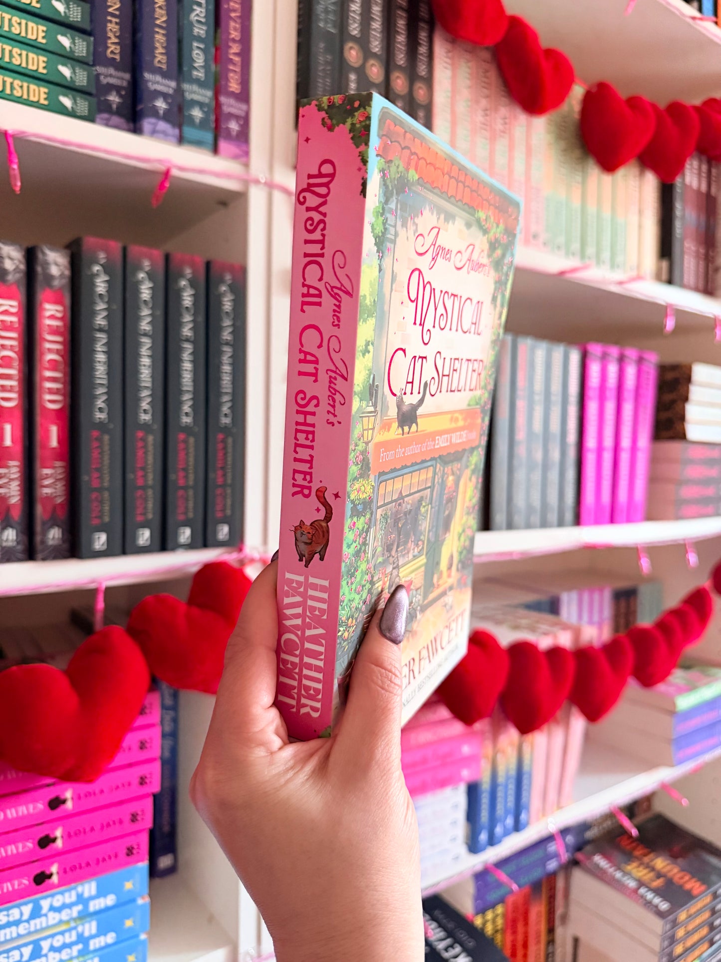 Agnes aubert's mystical cat shelter (Uk Edition, Paperback)