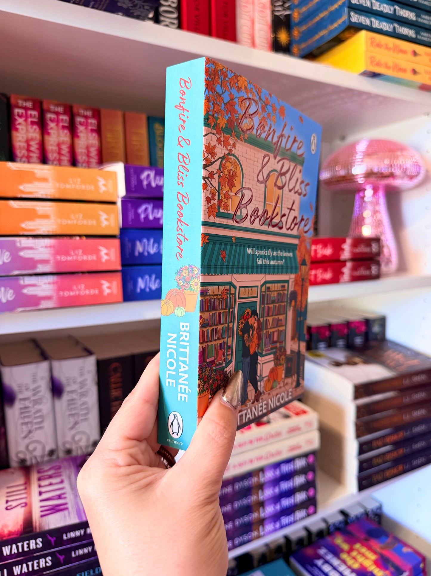 Bonfire and Bliss Bookstore (Uk edition, paperback)