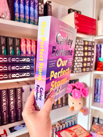 Our Perfect Storm (Uk Edition, Paperback)