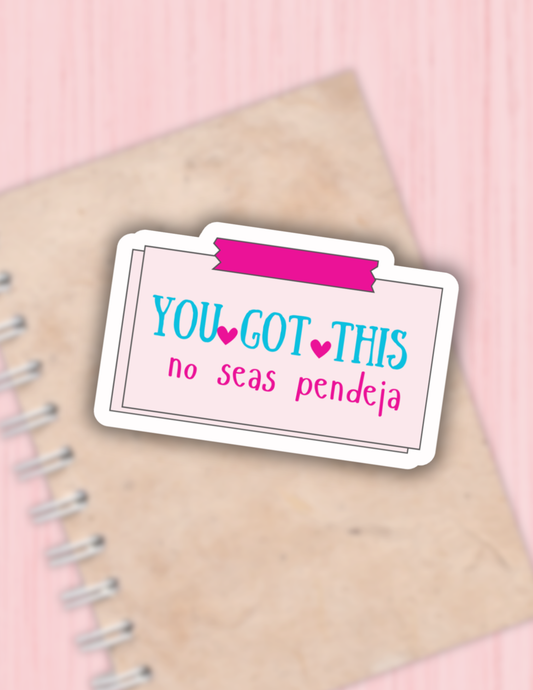 You got this no seas pendeja sticker, funny latina decals